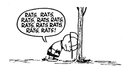 peanuts_rats.gif