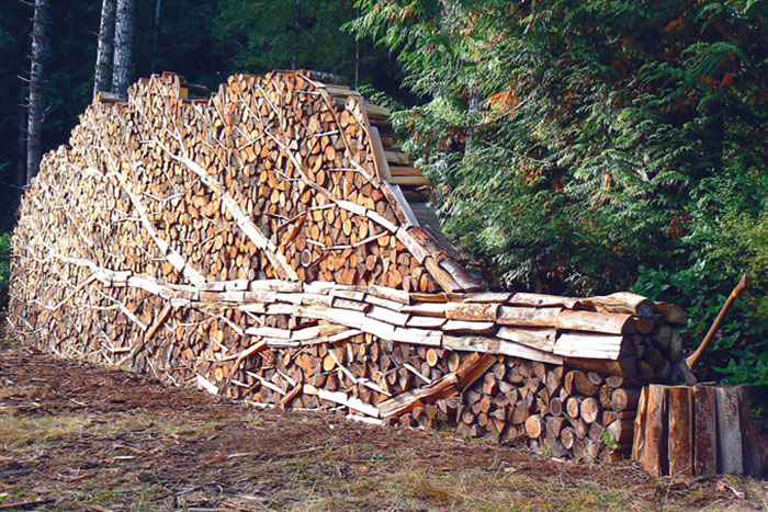 wood-pile-art-2.jpg
